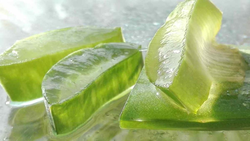 Benefits of Aloe Vera for Skin