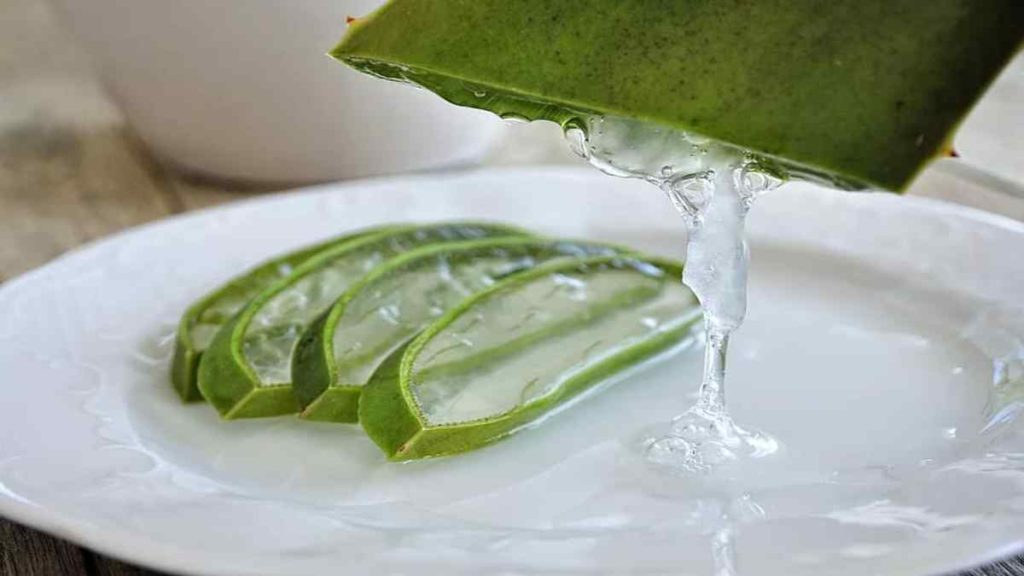 Benefits of Aloe Vera For Hair