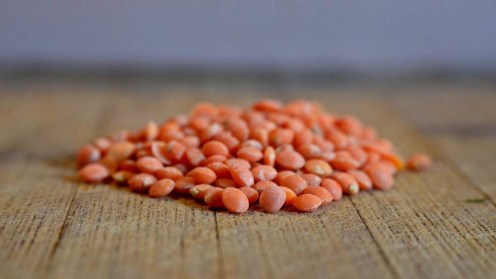 Red Lentils